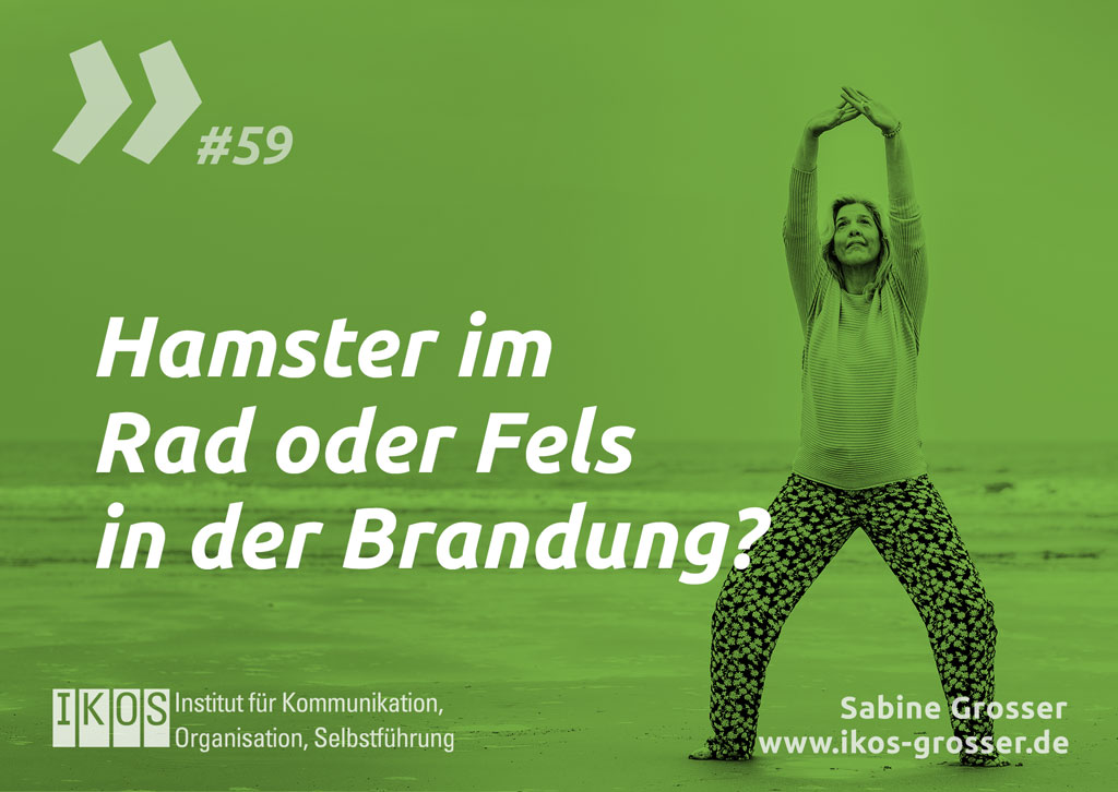 Sabine Grosser Zitat: Hamser im Rad oder Fels in der Brandung?